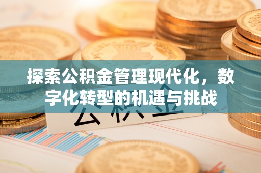 明水探索公积金管理现代化，数字化转型的机遇与挑战