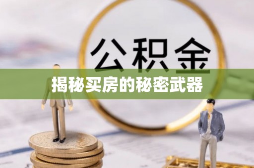 明水揭秘买房的秘密武器