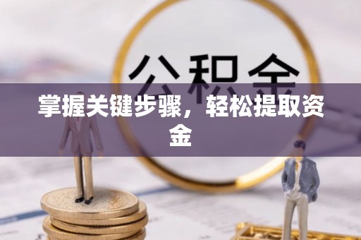 明水掌握关键步骤，轻松提取资金