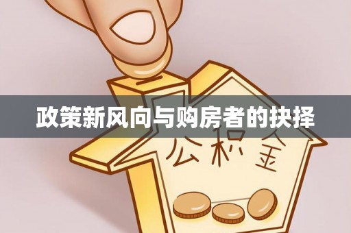 明水政策新风向与购房者的抉择