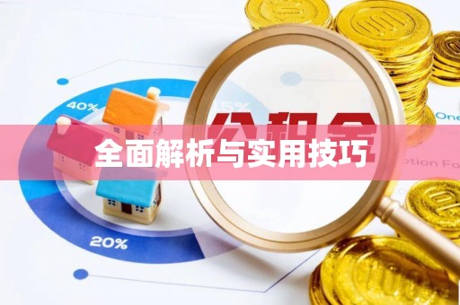 明水全面解析与实用技巧