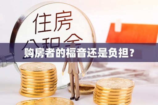 明水购房者的福音还是负担？