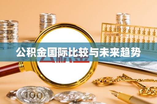 明水公积金国际比较与未来趋势