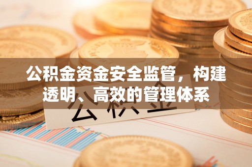 明水公积金资金安全监管，构建透明、高效的管理体系