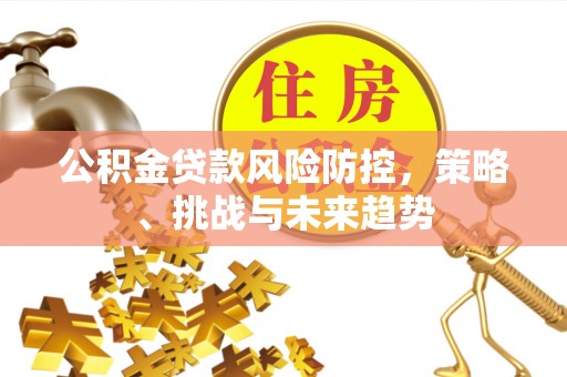 明水公积金贷款风险防控，策略、挑战与未来趋势