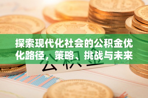 明水探索现代化社会的公积金优化路径，策略、挑战与未来展望