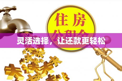 明水灵活选择，让还款更轻松