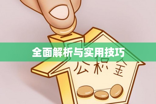 明水全面解析与实用技巧