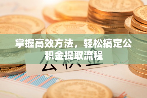 明水掌握高效方法，轻松搞定公积金提取流程