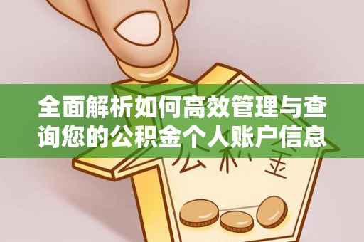 明水全面解析如何高效管理与查询您的公积金个人账户信息