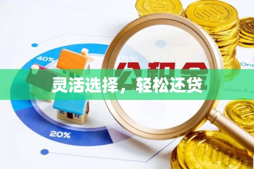 明水灵活选择，轻松还贷
