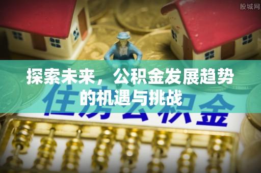 明水探索未来，公积金发展趋势的机遇与挑战