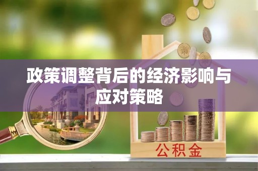 明水政策调整背后的经济影响与应对策略