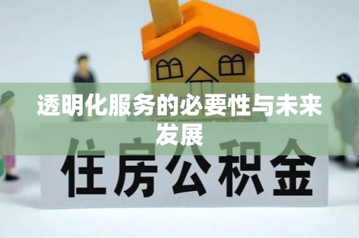 明水透明化服务的必要性与未来发展