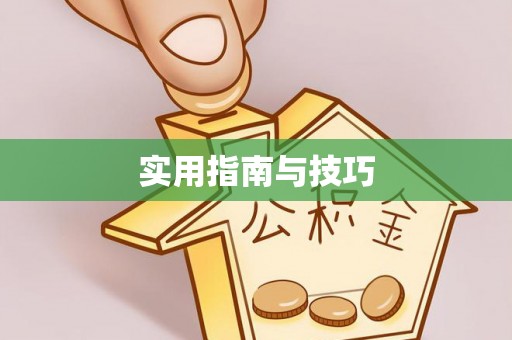 明水实用指南与技巧
