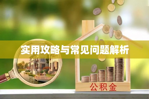 明水实用攻略与常见问题解析