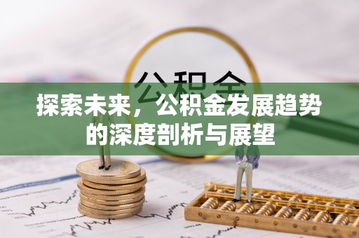 明水探索未来，公积金发展趋势的深度剖析与展望