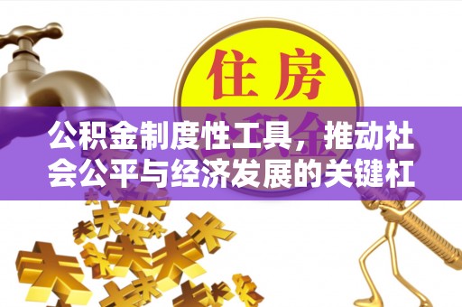 明水公积金制度性工具，推动社会公平与经济发展的关键杠杆