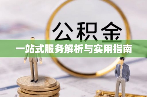 明水一站式服务解析与实用指南