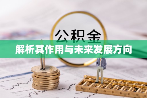 明水解析其作用与未来发展方向