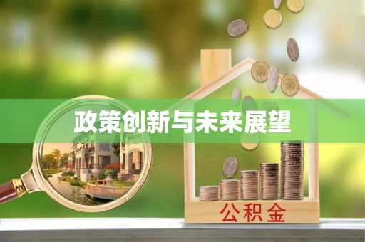 明水政策创新与未来展望