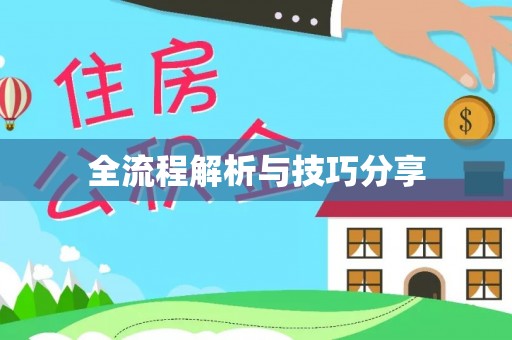 明水全流程解析与技巧分享