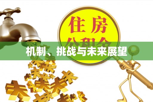 明水机制、挑战与未来展望