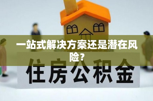 明水一站式解决方案还是潜在风险？