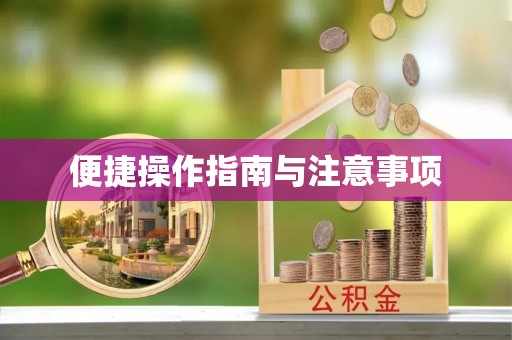 明水便捷操作指南与注意事项