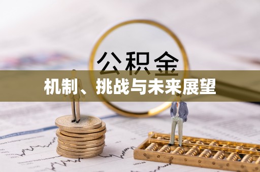 明水机制、挑战与未来展望